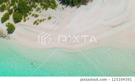 Soak up the sun on a pink sand beach with turquoise waters from a drone view. Enjoy a relaxing vacation in this tropical paradise with serene nature and stunning landscapes Soak up the sun on a pink sand beach with turquoise waters from a drone view. Enjoy a relaxing vacation in this tropical paradise with serene nature and stunning landscapes 123104391