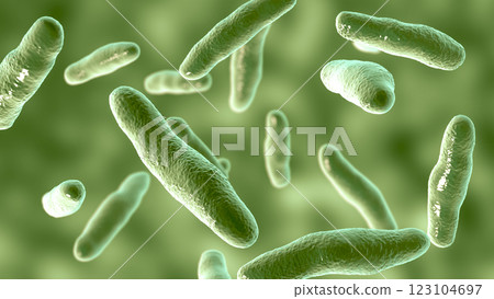 Bilophila wadsworthia bacteria Bilophila wadsworthia bacteria 123104697