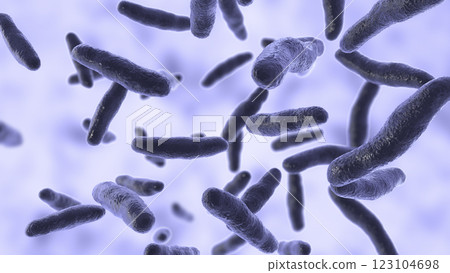 Bilophila wadsworthia bacteria 123104698