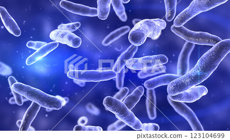 Bilophila wadsworthia bacteria 123104699