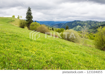 countryside mountain landscape in spring. cloudy weather. field and forest on the hill. rolling rural scenery countryside mountain landscape in spring. cloudy weather. field and forest on the hill. rolling rural scenery 123104855