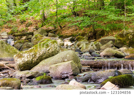 brook in the green forest. park scenery. water flows among mossy stones and trees. beautiful parks and outdoors nature background in summer. ecology freshness 123104856