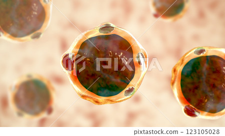 Blastocystis hominis parasite, 3D illustration. The causative agent of diarrheal infections in humans Blastocystis hominis parasite, 3D illustration. The causative agent of diarrheal infections in humans 123105028