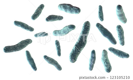 Biofilm of antibiotic resistant bacteria. Rod-shaped and spherical bacteria. Escherichia coli, Pseudomonas, Mycobacterium tuberculosis, Klebsiella, Staphylococcus aureus, MRSA. 3D illustration 123105210