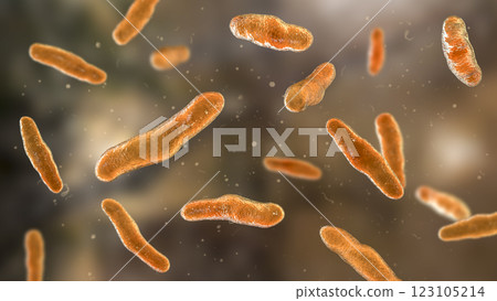 Biofilm of antibiotic resistant bacteria. Rod-shaped and spherical bacteria. Escherichia coli, Pseudomonas, Mycobacterium tuberculosis, Klebsiella, Staphylococcus aureus, MRSA. 3D illustration Biofilm of antibiotic resistant bacteria. Rod-shaped and spherical bacteria. Escherichia coli, Pseudomonas, Mycobacterium tuberculosis, Klebsiella, Staphylococcus aureus, MRSA. 3D illustration 123105214