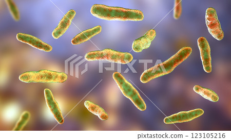 Biofilm of antibiotic resistant bacteria. Rod-shaped and spherical bacteria. Escherichia coli, Pseudomonas, Mycobacterium tuberculosis, Klebsiella, Staphylococcus aureus, MRSA. 3D illustration Biofilm of antibiotic resistant bacteria. Rod-shaped and spherical bacteria. Escherichia coli, Pseudomonas, Mycobacterium tuberculosis, Klebsiella, Staphylococcus aureus, MRSA. 3D illustration 123105216