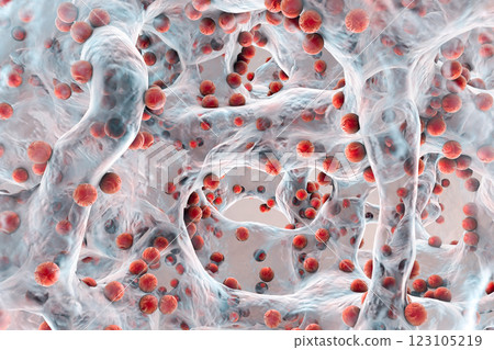 Antibiotic resistant bacteria inside a biofilm, 3D illustration. Realistic scientific background Antibiotic resistant bacteria inside a biofilm, 3D illustration. Realistic scientific background 123105219