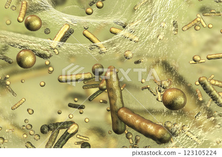 Antibiotic resistant bacteria inside a biofilm, 3D illustration. Realistic scientific background 123105224