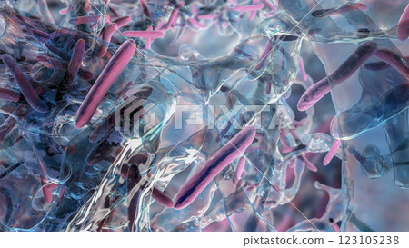 Mycobacterium tuberculosis bacteria, the causative agent of tuberculosis, 3D illustration. M. tuberculosis and non-tuberculosis mycobacteria, M. leprae, M. avium complex, M. chelonae and other 123105238