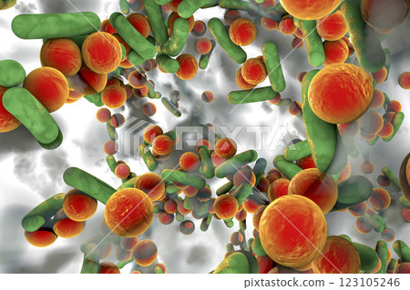 Antibiotic resistant bacteria inside a biofilm, 3D illustration. Realistic scientific background 123105246