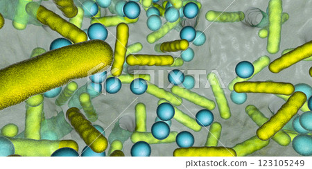 Antibiotic resistant bacteria inside a biofilm, 3D illustration. Realistic scientific background 123105249