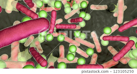 Antibiotic resistant bacteria inside a biofilm, 3D illustration. Realistic scientific background 123105250