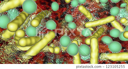 Antibiotic resistant bacteria inside a biofilm, 3D illustration. Realistic scientific background 123105255