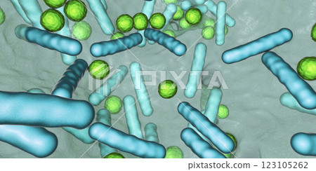Antibiotic resistant bacteria inside a biofilm, 3D illustration. Realistic scientific background Antibiotic resistant bacteria inside a biofilm, 3D illustration. Realistic scientific background 123105262