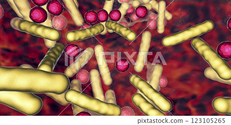 Antibiotic resistant bacteria inside a biofilm, 3D illustration. Realistic scientific background 123105265