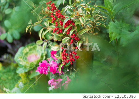 Manryo New Year's decoration image Manryo New Year's decoration image 123105386