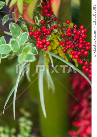 Manryo New Year's decoration image Manryo New Year's decoration image 123105399