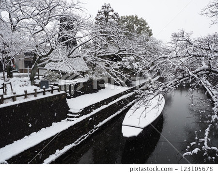 後街打結區域的冬天風景 123105678