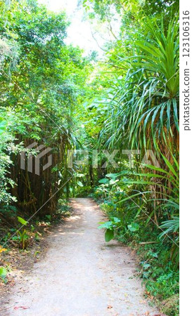 通往大海的路 123106316