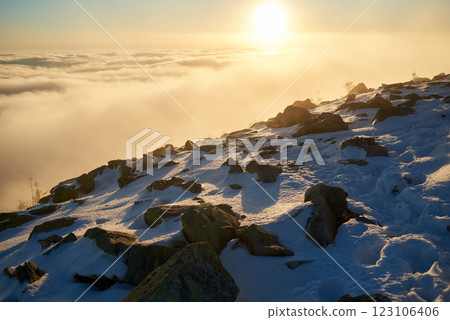 Snow-covered mountain slope at dawn, with scattered rocks and small trees adding texture to foreground. Sea of clouds below bathed in soft hues of blue and gold as sunlight gently illuminates scene. 123106406