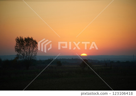 Sun sets on horizon, casting warm orange and pink glow across sky. Solitary tree stands silhouetted against colorful backdrop, while the landscape fades into gentle twilight. Sun sets on horizon, casting warm orange and pink glow across sky. Solitary tree stands silhouetted against colorful backdrop, while the landscape fades into gentle twilight. 123106418