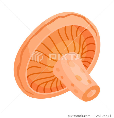 Saffron milk cap edible forest mushroom icon. Hand drawn trendy flat style Saffron milk cap edible forest mushroom icon. Hand drawn trendy flat style 123106671