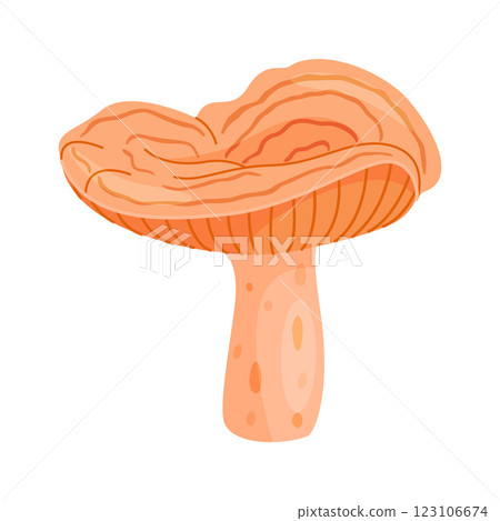 Saffron milk cap edible forest mushroom icon. Hand drawn trendy flat style Saffron milk cap edible forest mushroom icon. Hand drawn trendy flat style 123106674