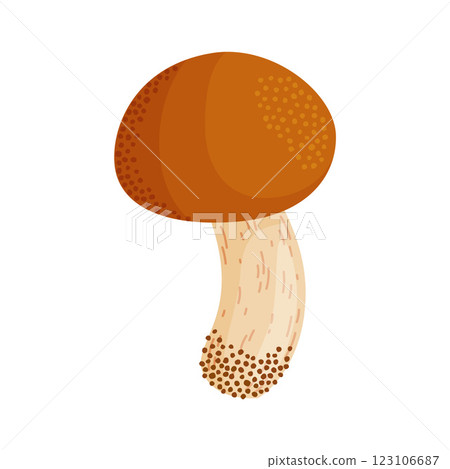 Suillus luteus, yellow mushroom. Edible forest fungus slippery jack or sticky bun, yellow pig Suillus luteus, yellow mushroom. Edible forest fungus slippery jack or sticky bun, yellow pig 123106687