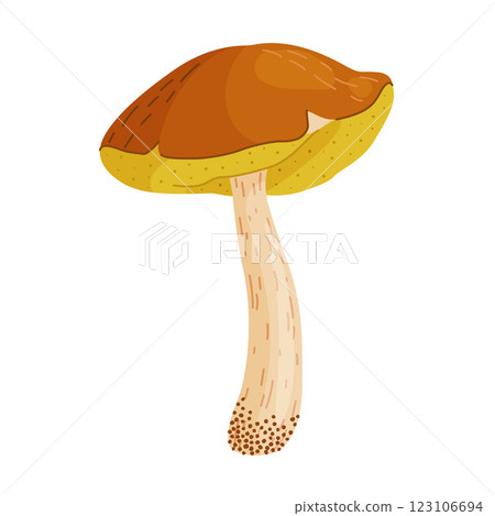 Suillus luteus, yellow mushroom. Edible forest fungus slippery jack or sticky bun, yellow pig 123106694