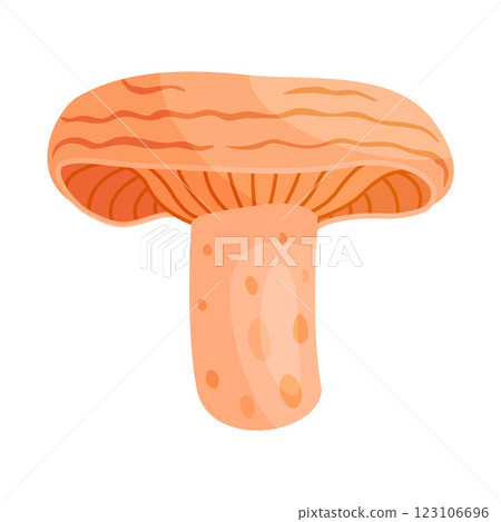 Saffron milk cap edible forest mushroom icon. Hand drawn trendy flat style Saffron milk cap edible forest mushroom icon. Hand drawn trendy flat style 123106696
