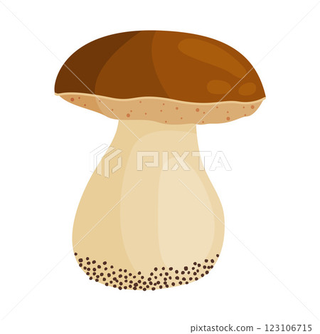 Porcini mushroom, edible forest mushrooms. Fresh boletus Hand drawn trendy flat style Porcini mushroom, edible forest mushrooms. Fresh boletus Hand drawn trendy flat style 123106715
