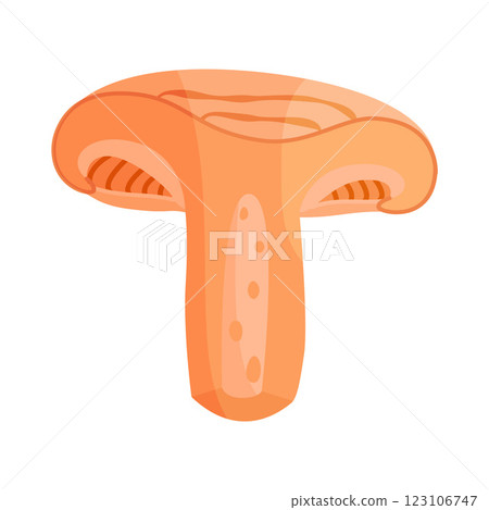 Saffron milk cap mushroom slice, edible forest mushroom icon. Hand drawn trendy flat style Saffron milk cap mushroom slice, edible forest mushroom icon. Hand drawn trendy flat style 123106747
