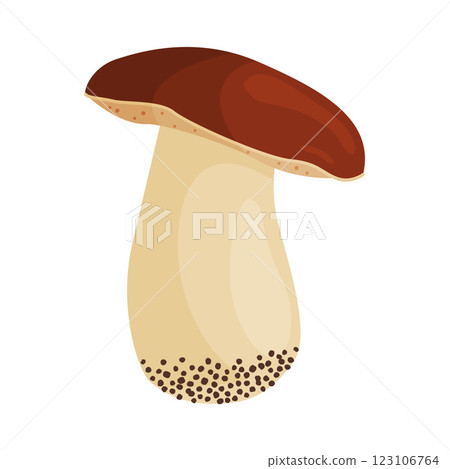 Porcini mushroom, edible forest mushrooms. Fresh boletus Hand drawn trendy flat style 123106764