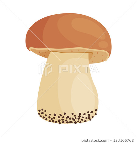 Porcini mushroom, edible forest mushrooms. Fresh boletus Hand drawn trendy flat style 123106768
