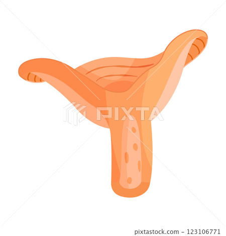 Saffron milk cap mushroom slice, edible forest mushroom icon. Hand drawn trendy flat style 123106771