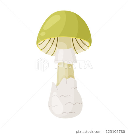 Death cap poisonous forest mushroom. Hand drawn trendy flat style isolated icon 123106780