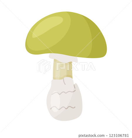 Death cap poisonous forest mushroom. Hand drawn trendy flat style isolated icon 123106781
