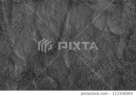 Soft fluffy black carpet texture, synthetic textile fur, plush background Soft fluffy black carpet texture, synthetic textile fur, plush background 123106864