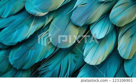 A captivating arrangement of turquoise feathers showcases intricate patterns and textures, evoking a sense of natural beauty and creativity 123106901