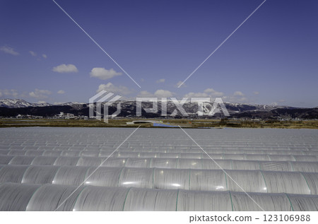 Snow-covered rural landscape Snow-covered rural landscape 123106988
