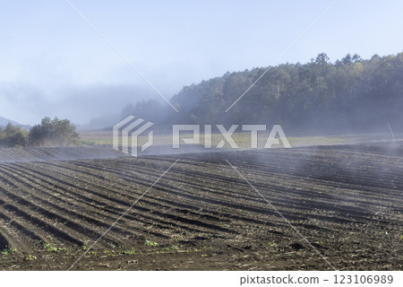 field covered in fog field covered in fog 123106989