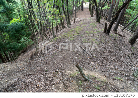 Mizuban Castle ruins: main moat and earthen bridge 123107170