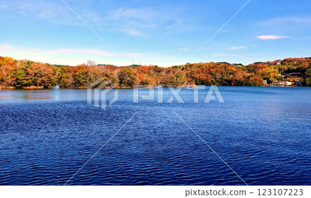 冬季的一碧湖紅葉紛飛 123107223