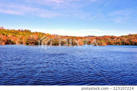 冬季的一碧湖紅葉紛飛 冬季的一碧湖紅葉紛飛 123107224