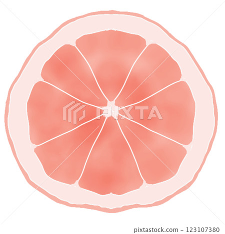 Pink grapefruit 123107380
