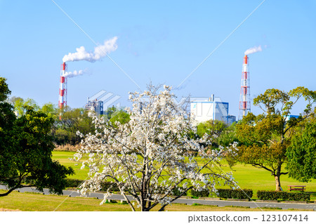 球磨川綠地和球磨川河床草坪廣場的景色在藍天映襯下格外美麗（八代市） 123107414