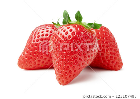 美味的草莓 123107495
