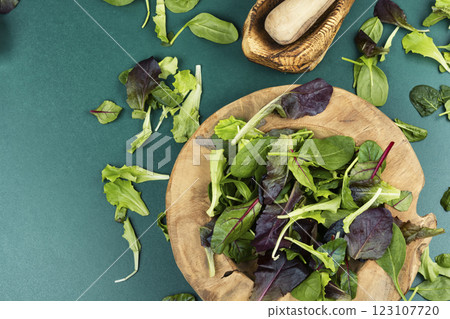 Delicious green leaf salad. 123107720