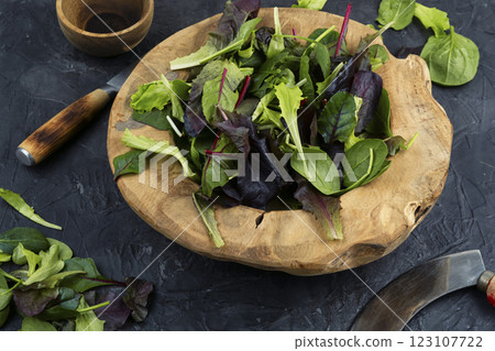 Fresh mixed salad field green. Fresh mixed salad field green. 123107722