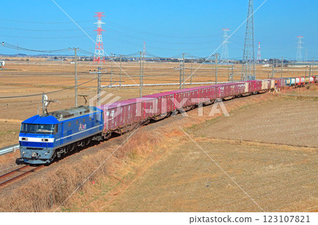 晴朗的冬日,桃太郎牽引的貨運列車沿著成田線行駛 晴朗的冬日,桃太郎牽引的貨運列車沿著成田線行駛 123107821